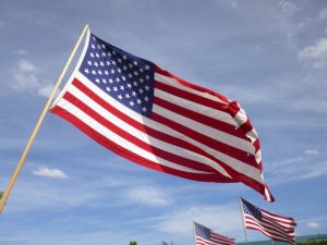 田臥勇太　経歴