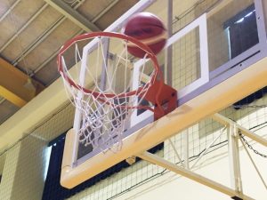 田臥勇太　経歴